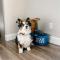 Sonata Getaway Pet friendly Near Old Mill District - بيند