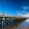 Coquet Nest AMBLE