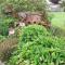 Clover Hill Studio Apartment - Milton