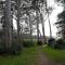 Retro Beach House - Macmasters Beach