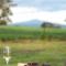 Linleigh Farmhouse With Mountain Views - Barwite