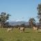 Linleigh Farmhouse With Mountain Views - Barwite