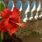 Stunning Sea View Flat (One Bed Room)Entire Place