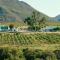 Bronze Grove Farm and Chalets - Barrydale