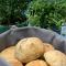 Bed & Breakfast “Den Gamle Lade I Hejls”