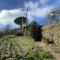 Una casa a lavagna nel verde nel Tigullio