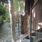 B&B Rosindell