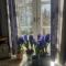 B&B Rosindell