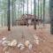 Broken Bow Cabin on 1 Acre with Hot Tub and Fire Pit! - Stephens Gap