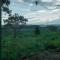 Bangalô Ametista View - Viagem Inspirada