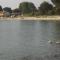 Holiday house with a swimming pool Barbariga, Fazana - 22763