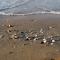 Resort near Bibione beach and thermae - Beahost