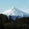 Lodge El Taique - Puyehue