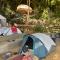 Salatoos Mango Garden and Guesthouse - 阿斯旺
