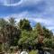 Salatoos Mango Garden and Guesthouse - 阿斯旺