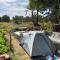 Salatoos Mango Garden and Guesthouse - 阿斯旺