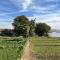 Salatoos Mango Garden and Guesthouse - 阿斯旺