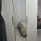 Apartment Santana -19 at Beach with Pool, Garage and Lift - Torrevieja