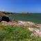 Thyme Lodge Newcastle Emlyn