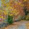 Autumn Colors Condo, Unit 215