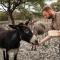 Munsterland Guest Farm