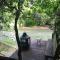 Cabin Fever on Cartecay River