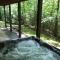 Cabin Fever on Cartecay River