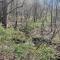 Hilltop Haven w/Creek&Waterfall Dntwn McCaysville