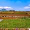 Boreum Pension - Seogwipo