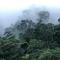 Jungle River Lodge