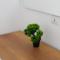 Apartment Aysel Fontaine