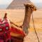 EMPIRE PYRAMIDS View - 开罗