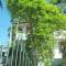 SUPER SUN HOMESTAY