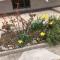 House vittone venaria reale 2