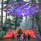 Himtrek Riverside Camps, Kasol