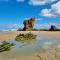 Camping L´Amuravela