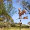 Wombat Creek Crackenback