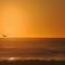 Hokitika Beach Break - 霍基蒂卡