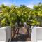 Temple Resort & Spa Port Douglas