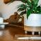 Fox House Scone - Apartment 2