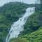 7s Castle Munnar Mountain View Homestay