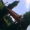 Sakleshpur Home Stays