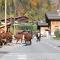 Le Petit Chalet du Chinaillon