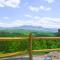 A Bear's Poolside View - سيفيرفيل