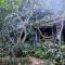 Guamacayan House