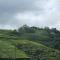 Venus Inn Nuwara Eliya - 努沃勒埃利耶