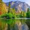 Sequoia Splendor, inside Kings Canyon NP by Visitors Center - Wilsonia