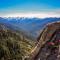 Sequoia Splendor, inside Kings Canyon NP by Visitors Center - Wilsonia