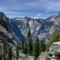 Sequoia Splendor, inside Kings Canyon NP by Visitors Center - Wilsonia