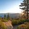 Sequoia Splendor, inside Kings Canyon NP by Visitors Center - Wilsonia